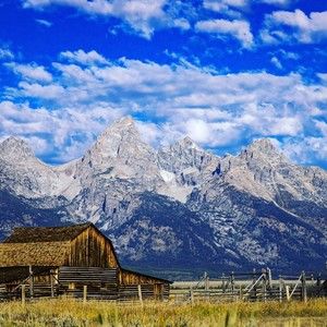 Meet your Posher, Janice